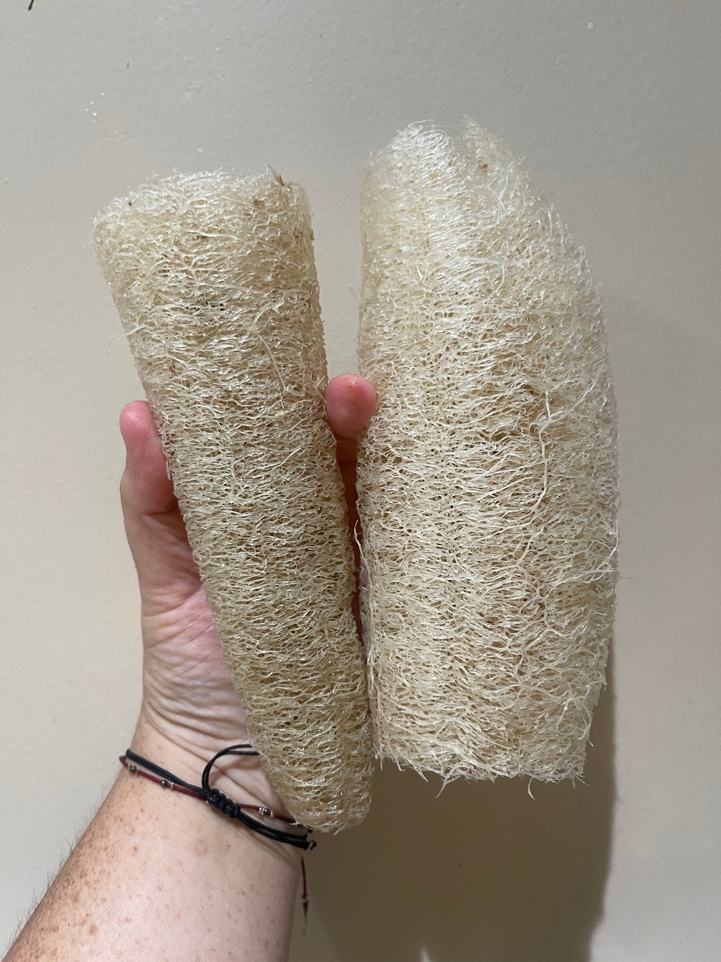Homegrown Organic Loofah