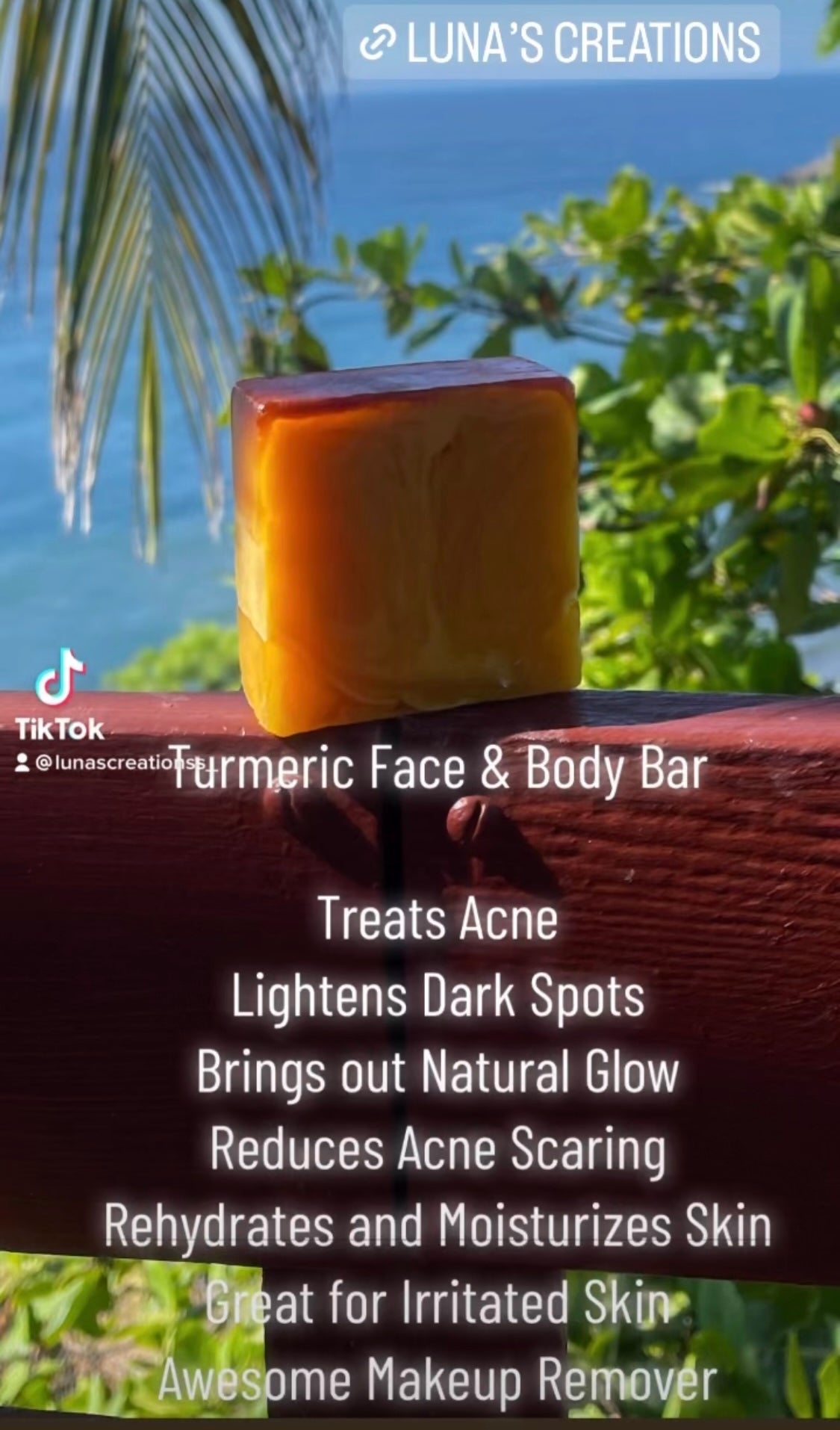 Turmeric Face and Body Soap Bar