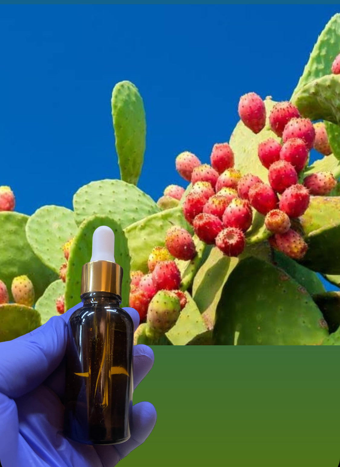 Face Serum